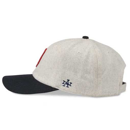AMERICAN NEEDLE NATIONAL LEAGUE DETROIT WOLVERINES