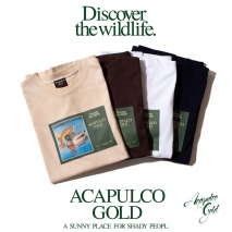Wildlife-banner-sq